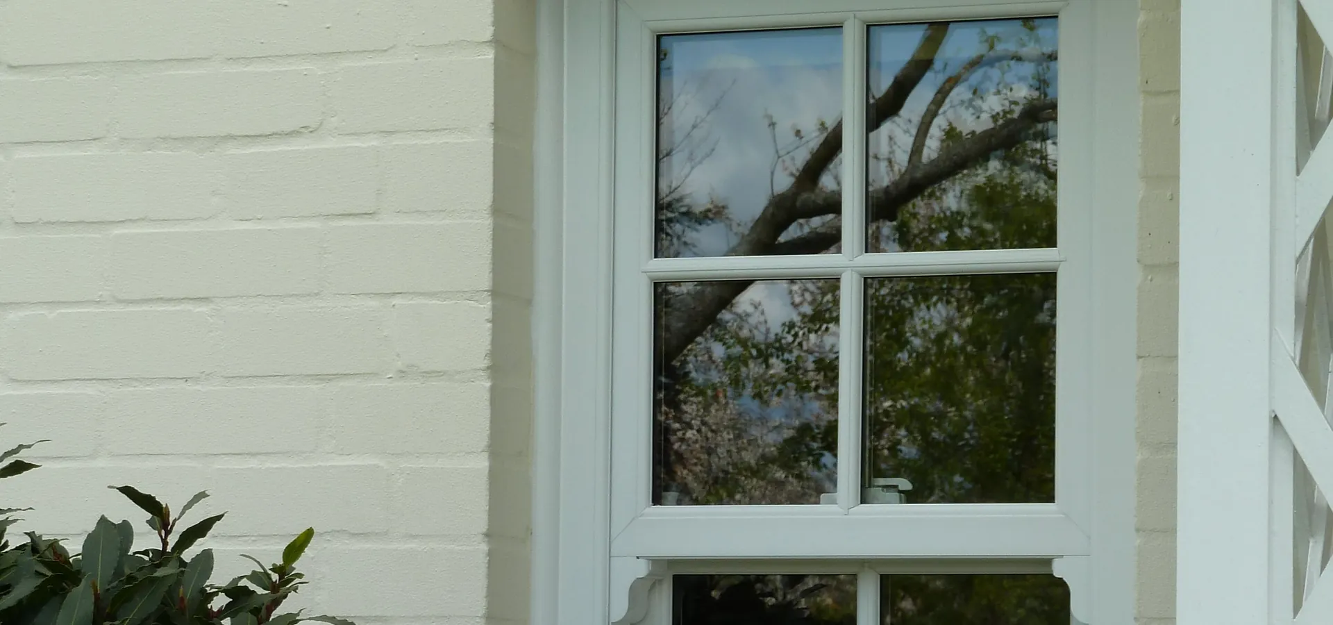Sash Windows Sydenham